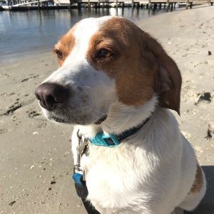 Meet your Posher, Jordan